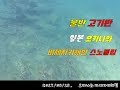 일본여행_ 오키나와 비세자키해변에서 스노쿨링을 _ 물반 고기반 _ 수족관이 따로없어요