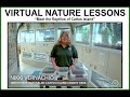 Virtual nature lessons meet the reptiles of cattus island