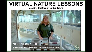 Virtual Nature Lessons: Meet the Reptiles of Cattus Island screenshot 1