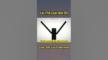 Cái Cuộc Đời Bất Ổn Của Enderman Trong Minecraft 🤣 #shorts