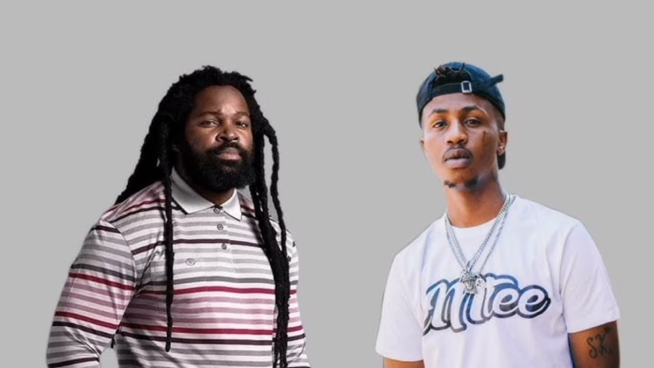 [FREE] Big Zulu & Emtee Type Beat "unreleased song" Beat |No Tags 2025