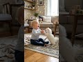 Baby Meets Kitten 🐶👶 Pure Joy &amp; Playtime in the Living Room! #aivideo