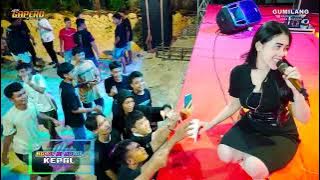 NEW GAPERO - JOMBLO HAPPY - SALMA NOVITA - PARTY KEPAL - SINOMWIDODO TAMBAKROMO PATI