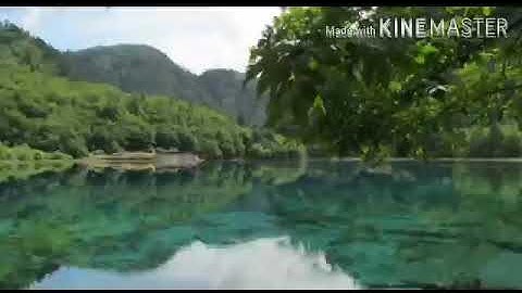 سورةالنور من القرآن الكريم للقارئء:يحيى حوى