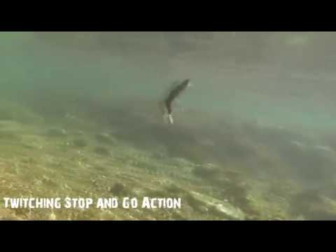 Aliexpress - Bearking Minnow Fishing Lure reel cinema dubai