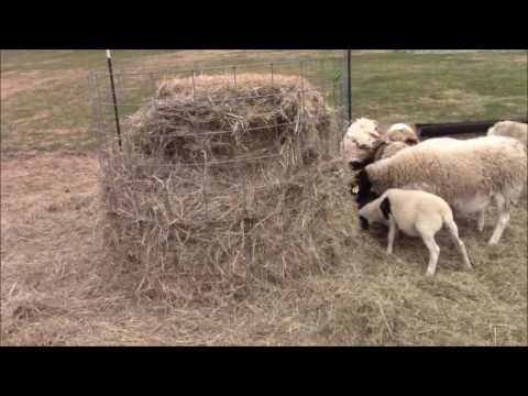 How To Make A Round Bale Hay Feeder Cheap Youtube
