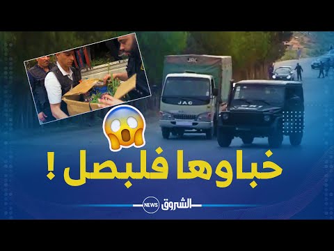 شاهد  معسكر توقف شاحنة محملة بالمهلوسات مخبأة بإحكام مع البصل