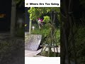 fun for kids #popular #trending #youtubeshorts #funny #youtube