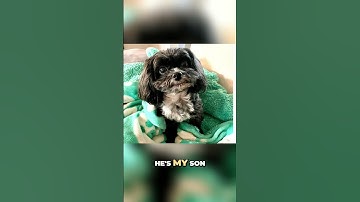 Thumbnail of Dogs Are Not Colorblind