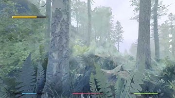 2023 SKYRIM SE Parallax 4K Photorealistic Forests with RayTracing