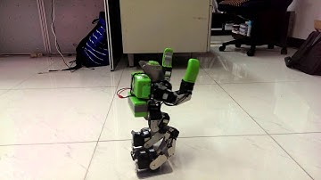 RoboSmart