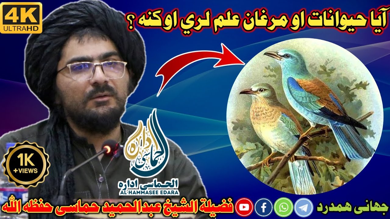 آیا حیوانات او مرغان علم لري او کنه ؟ ویناوال : شیخ عبدالحمید حماسی حفظه الله