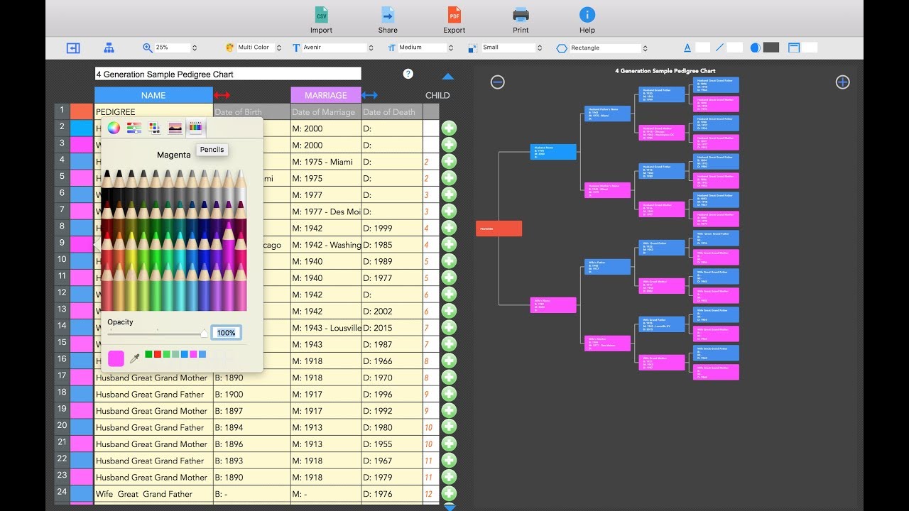 Make Your Own Pedigree Chart