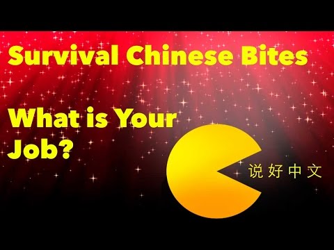 What Is Your Job Learn Chinese With Survival Chinese Bites