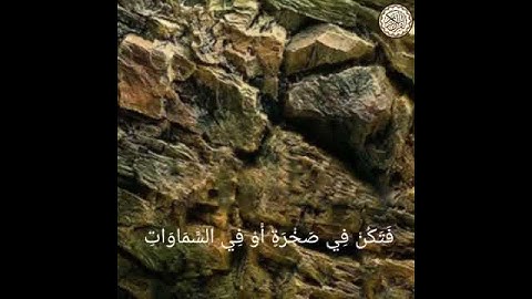 القرأن الكريم بصوت القارئ اسلام صبحي (يابني انها ان تك مثقال حبة خردل)