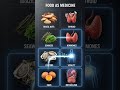 Is Your Metabolism Broken Fix It