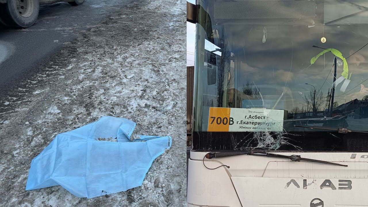 самое жаркое лето в россии. остров ягры северодвинск. счастье природа. жара люди. оказывается летом.