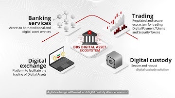 DBS Insights for Business Leaders - Digital Assets Ecosystem
