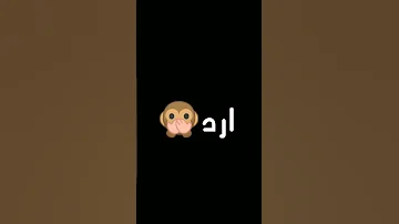 اغاني اليسا مصدومه بجد ومش بنطق حالات واتس اب شاشه سوداء حب واغرام عشاق رومانسي احساس اليسا 