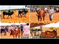 மாபெரும் நாட்டு மாடுகள் கால்நடைத் திருவிழா - கோவை 2020 | The Great Country Cattle Festival | Part 2