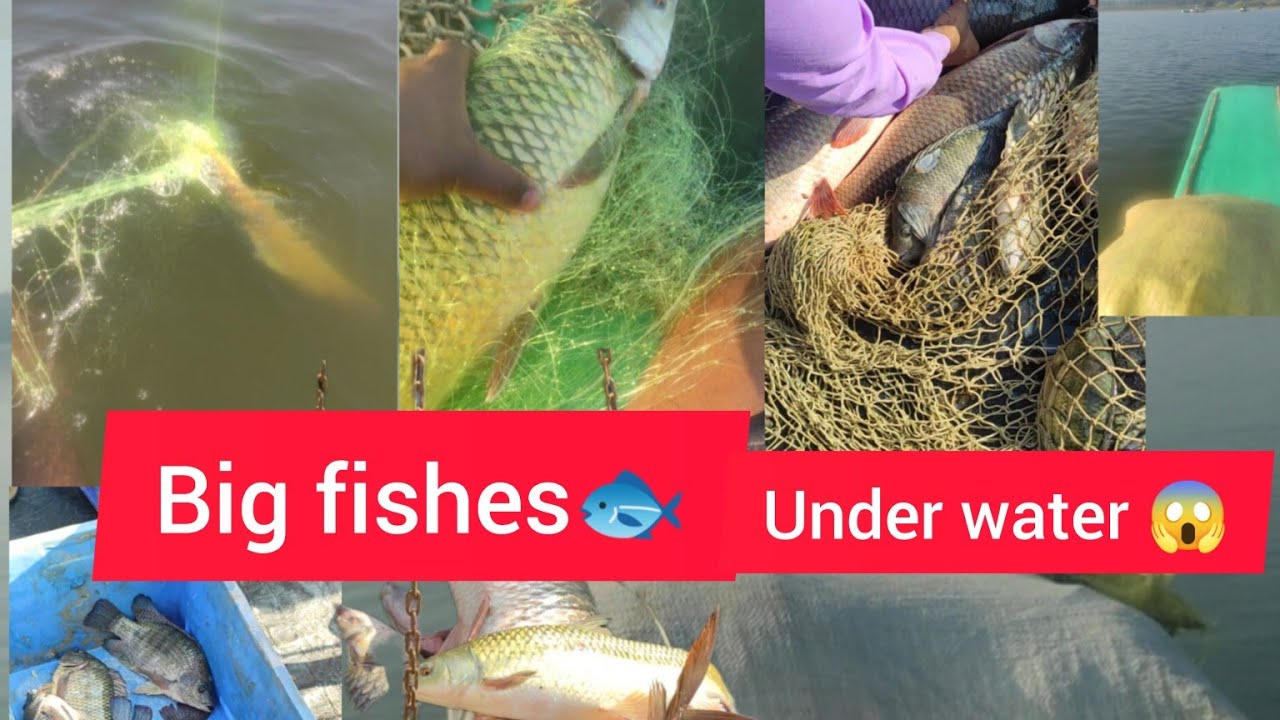 fishing 🐟😱 under water indian fisherman telangana#trending #viral #fishermen #fishing #bassfishing