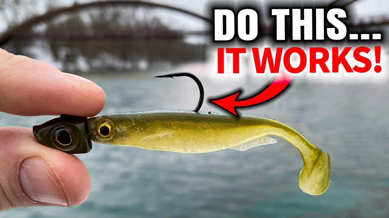 Small swimbaits for Winter Bass 🎣 Do you use this technique? Check out the  video for the setup I like to use while fishing with my