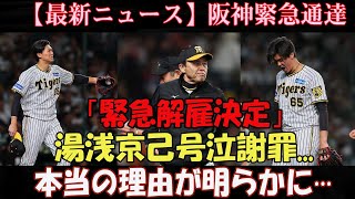 阪神緊急通達阪神追放の真相に言葉を失うフォーム改造に失敗、ストライクがはいらない、2軍でも通用しない悲惨すぎる現状に絶句