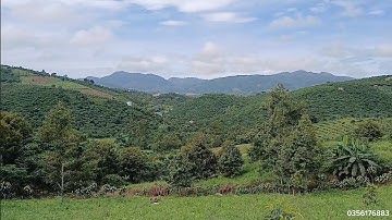 Bảo Lộc _ phường 3 vườn 1620m². QL20 vào 2km. Giá 900