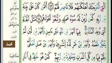فواتح سورة محمد الشيخ عبدالله الموسى  The openings of Surat Muhammad, Sheikh Abdullah Al-Mousa
