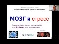 24/06/2021 Дубынин В.А. "Мозг и стресс". Лекция на Летней школе учителей химии в МГУ