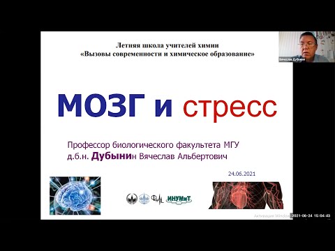 24/06/2021 Дубынин В.А. "Мозг и стресс". Лекция на Летней школе учителей химии в МГУ