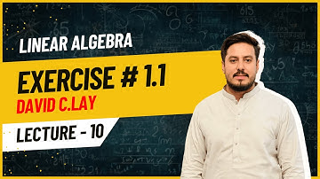 Unlock Linear Algebra Secrets with David C. Lay | Exercise # 1.1