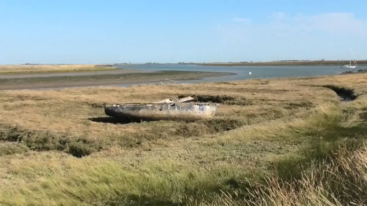 Country Walking: Paglesham, Essex (Adapted).19/9/25