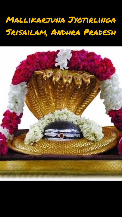 Mallikarjuna Jyotirlinga Srisailam, Andhra Pradesh. #12jyotirlinga #mallikarjuna #srisailam
