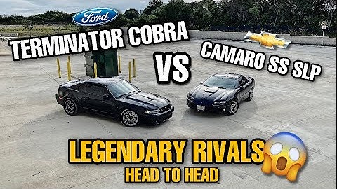 TERMINATOR COBRA vs CAMARO SS SLP RACE! Legendary Rivalry! *PT.1