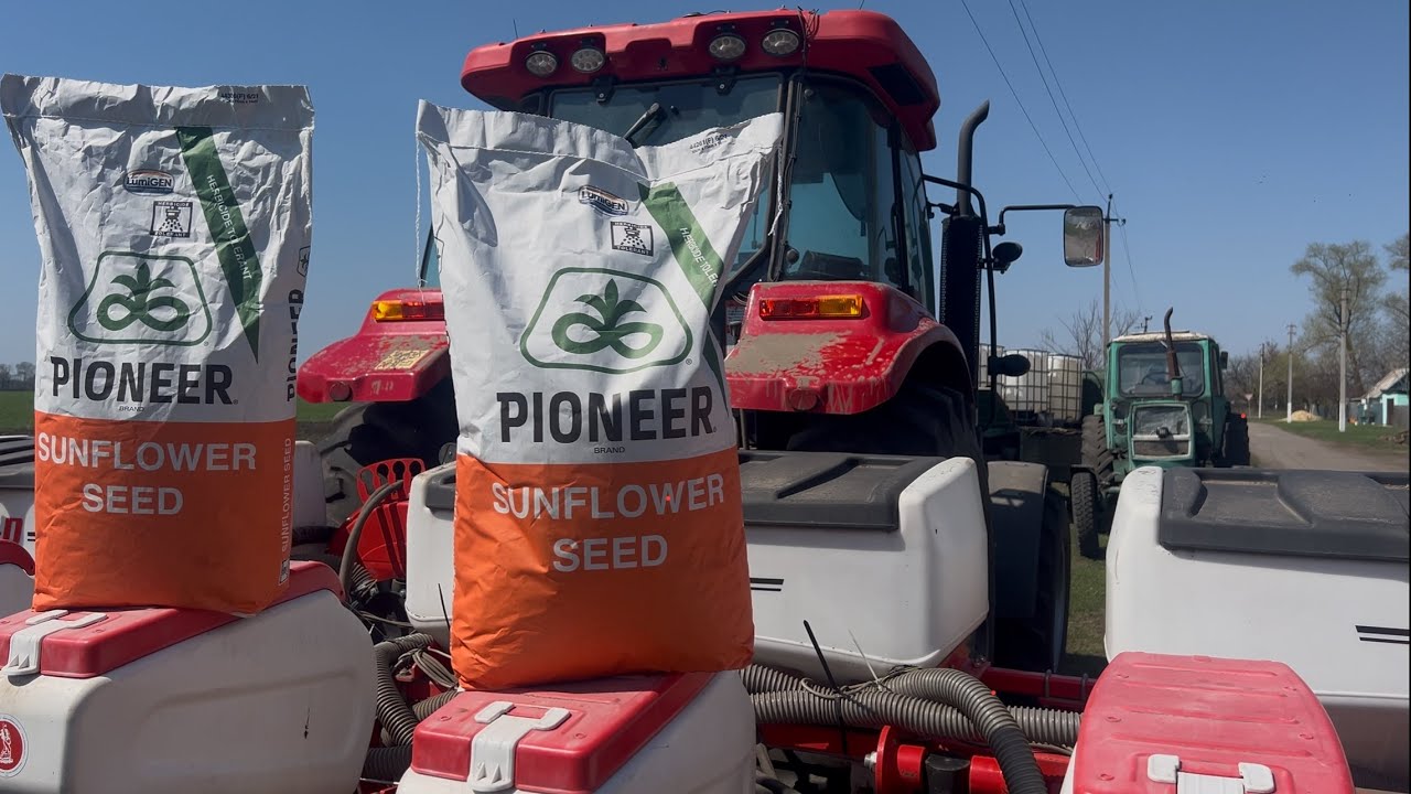 Два Топ гібриди від Pioneer під технологію Express‼️ LE 168 та LE185🌻 Будемо порівнювати‼️#2025