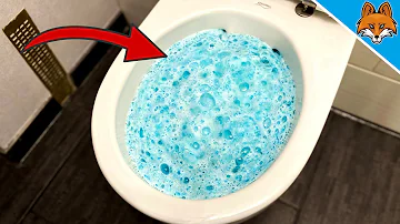 Wie schädlich ist WC-Reiniger?