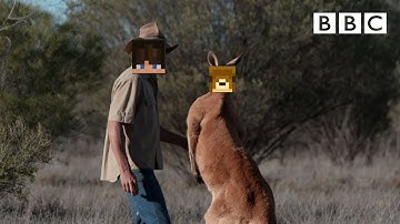 hunting a toddler...  (gone wrong) (hopper called) Hypixel pit