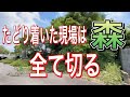 たどり着いた現場は森！伐採してみた！