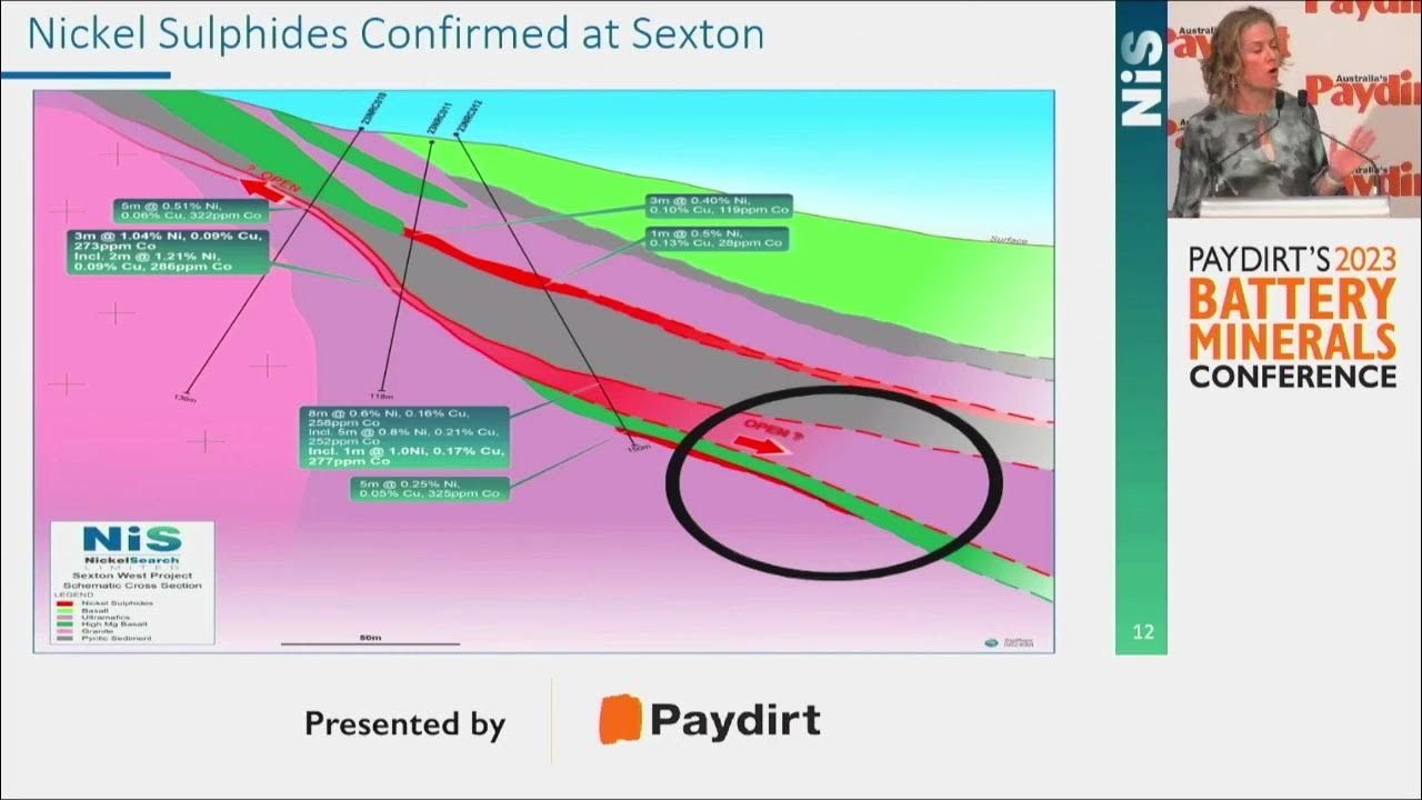 Battery Minerals Conference 2023 NickelSearch Ltd. YouTube