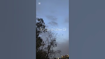 تلاوة خاشعة للقارئ عبد رحمان مسعد سورة يونس