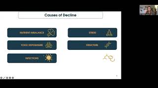 HSBA SCD Coffee Hour: Reversing Alzheimer's - Lessons for Optimizing Cognition at any Stage Webinar
