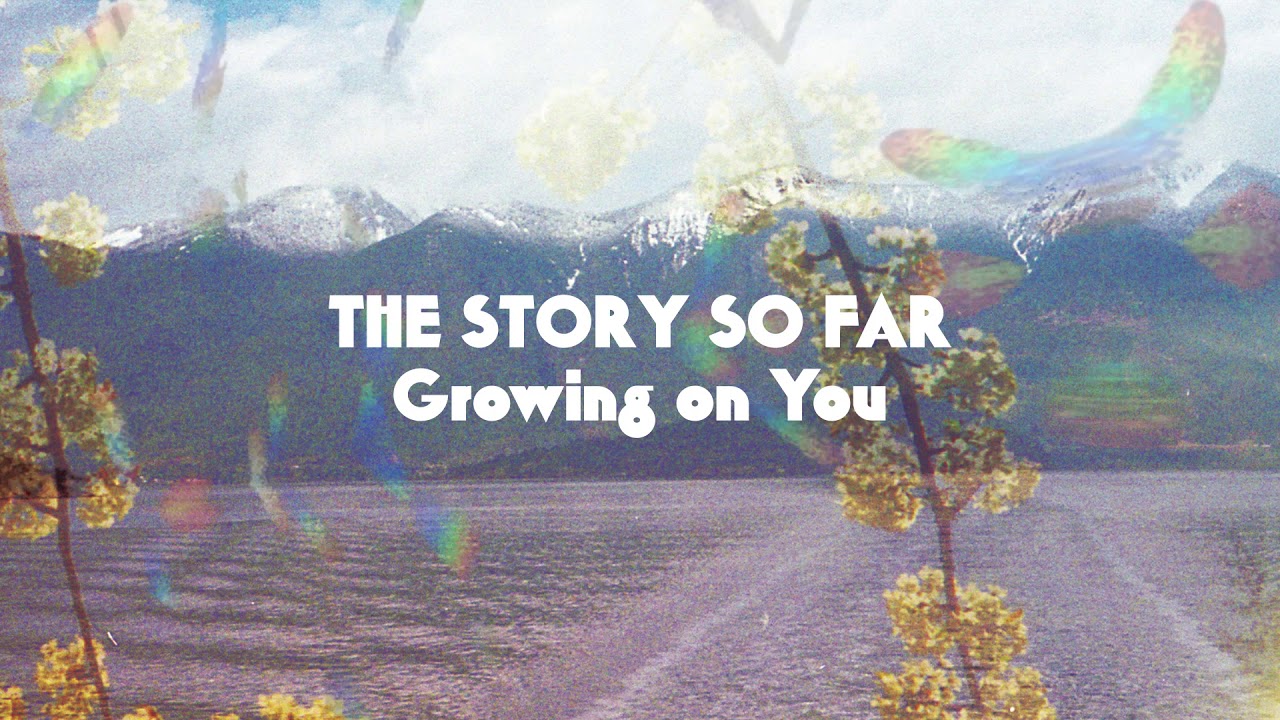 The Story So Far Growing on You