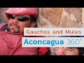 Aconcagua 360°-Expedition: Gauchos and Mules