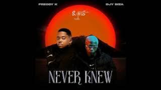 Freddy K & Djy Biza - Never Knew (Full Mix) By S.O.S Musiq