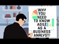 Why You Need To Know The Agile Methodology As A Business Analyst!