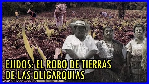 EJIDOS: El robo de las tierras comunitarias a los indígenas