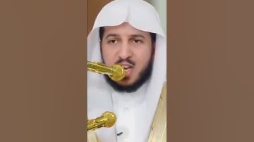 ﴿ وهو الذي مرج البحرين هذا عذب فرات وهذا ملح أجاج وجعل بينهما برزخا وحجرا محجورا ﴾ تلاوة قرآن جميلة