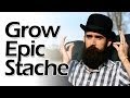 How to grow an epic mustache