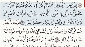 القرآن الكريم سورة الأنفال من الآية 9 وحتى الآية  14